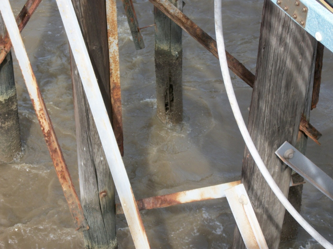 Severely Deteriorated Pile- Type I Severely Deteriorated Pile- Type I